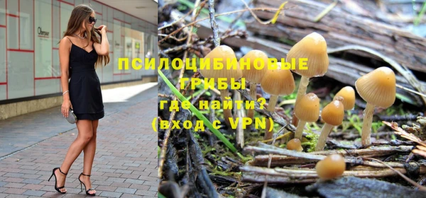 первитин Алексеевка