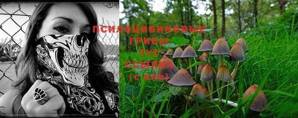 первитин Алексеевка