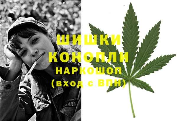 apvp Алзамай