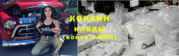 apvp Алзамай