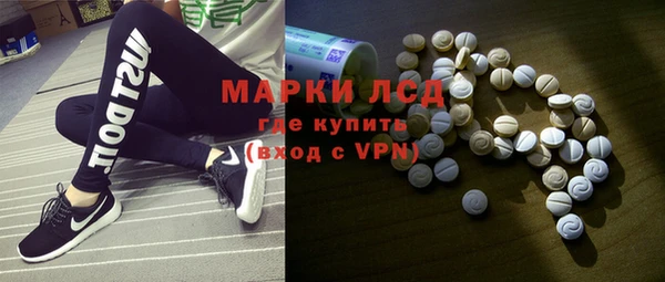 apvp Алзамай